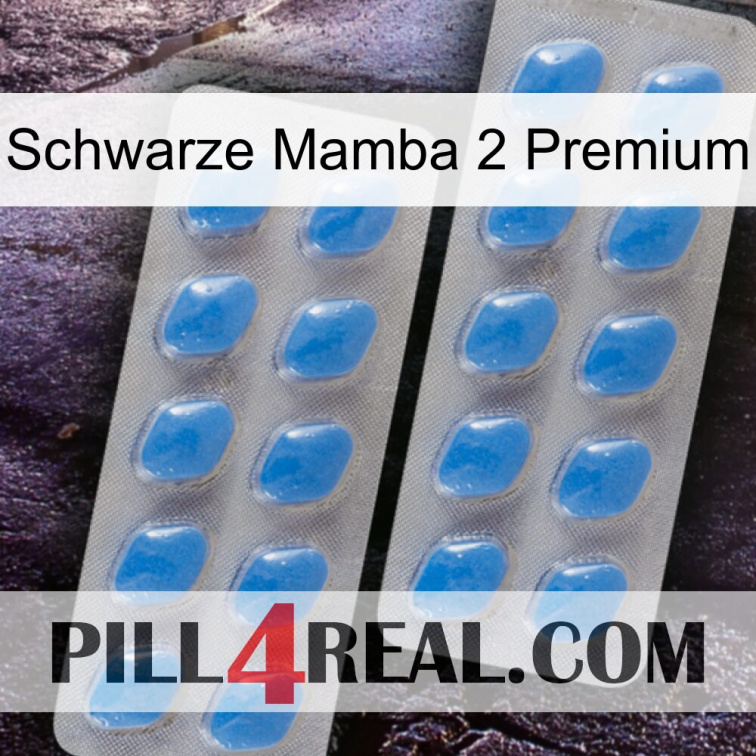 Black Mamba 2 Premium 23